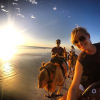 ann.christine的照片