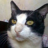 Aldo Bedrij的照片