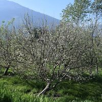 Radhika Saluja的照片