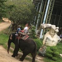 cigdem  sahin的照片