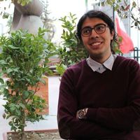 Mahdi Razavi的照片