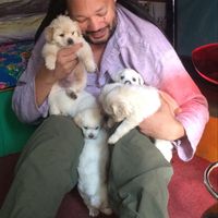 david oliver的照片