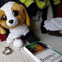 Kevin Grandemange的照片