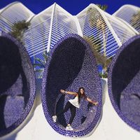 Fotos de Fernanda Larroca