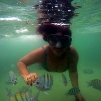 Suellem Hannash的照片