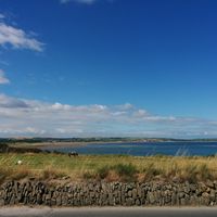 Alessandra Casiroli's Photo