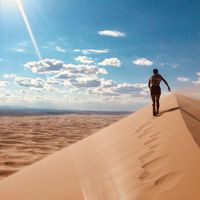 Lena Strauss's Photo