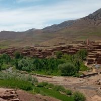 Yassine  Zaki's Photo