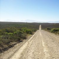 Rampeleng  Pule's Photo