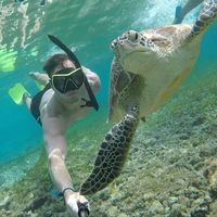 Heydon Thomas's Photo