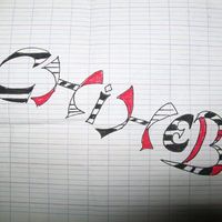 Chiheb Eddine Bouguerra's Photo