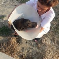 Fatma Colak的照片