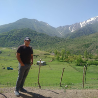 Moohamad Mousavi的照片