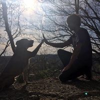 Corey Leighton的照片