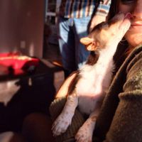 Jessie DiMartino的照片