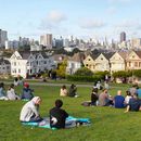 Couch Crash '24: 🏠Painted Ladies Picnic 🏠's picture