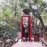 Linda Willsie's Photo