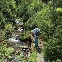 Iris Drescher的照片