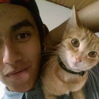 Fotos de Juan Romero