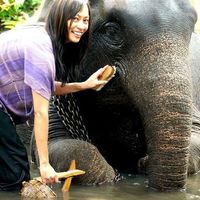 Cheryl Goodwin's Photo