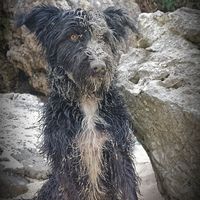 carlos fuentes's Photo