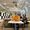 Mehran Batavani's Photo