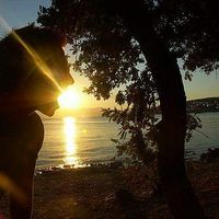 Gabor Molnar's Photo