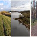 Czosnów → Izabelin — 21 km winter hike, Warsaw's picture