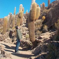 Simon Alfeis's Photo