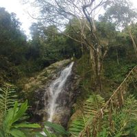 Jhon R Alvarado's Photo