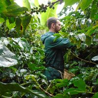 Benjamin Whittaker的照片