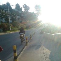 Natalia Riveros Salinas的照片