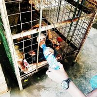 Jacob MASIRIKA的照片