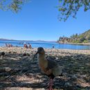 Renting A Car And Exploring's picture