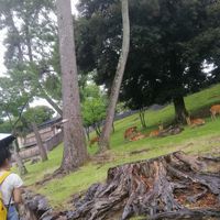 qingwen zhang's Photo