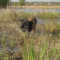 Ivan  Mashchenko的照片