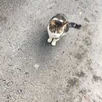 Фотографии пользователя 🇷🇺🌸Елена 🌸🇷🇺