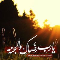 Yassine El Azhari's Photo