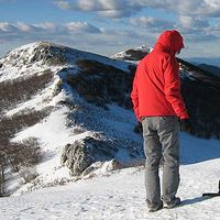 Marko Stancec's Photo