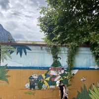 Dorka Szántó's Photo