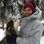 Photo of M
