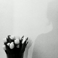 Giorgia Bucchiarone's Photo