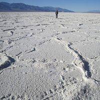 Raz Mohammed's Photo