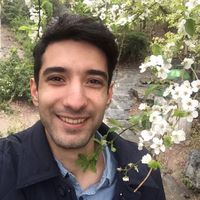 Saber Messhenas's Photo