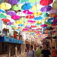 Diane Garcia's Photo