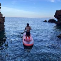 Walid Oudjega's Photo