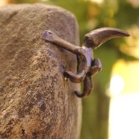 Jonas Balbasus的照片