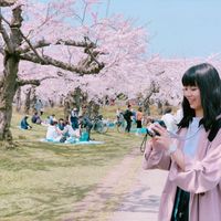 Sumie Kisimoto的照片