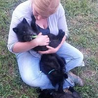 Jessica Hamman's Photo