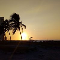 Andres zapata的照片